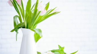 demo-attachment-783-brooke-lark-210780@2x