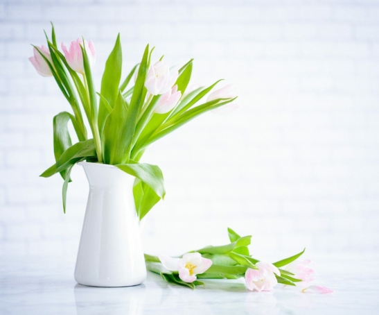 demo-attachment-783-brooke-lark-210780@2x