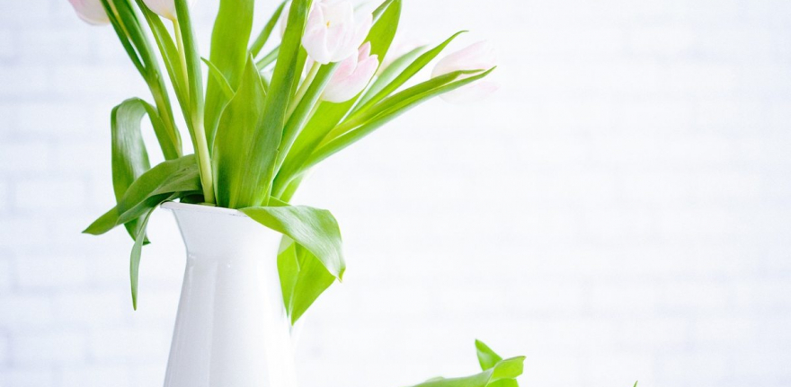 demo-attachment-783-brooke-lark-210780@2x