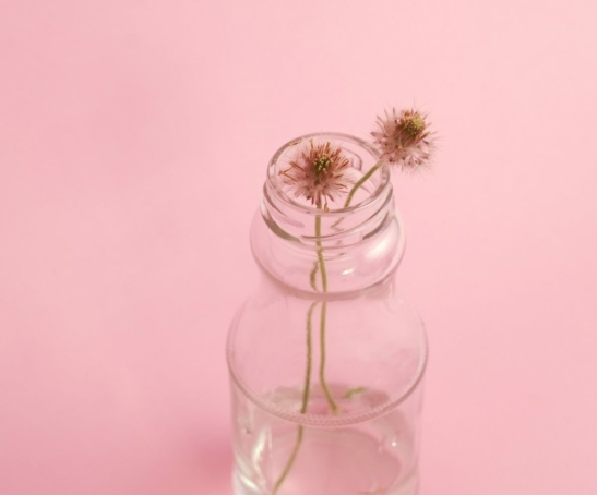 demo-attachment-796-photo-1429679310900-bad303d0e63a-1@2x